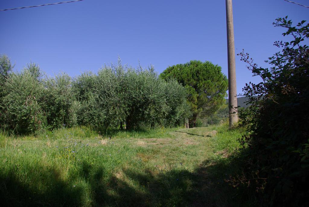 Villa Roccaccia Tuoro sul Trasimeno Dış mekan fotoğraf