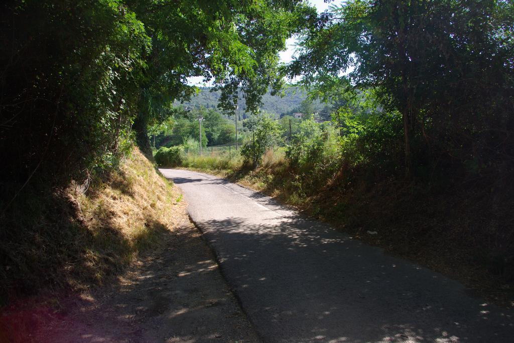 Villa Roccaccia Tuoro sul Trasimeno Dış mekan fotoğraf