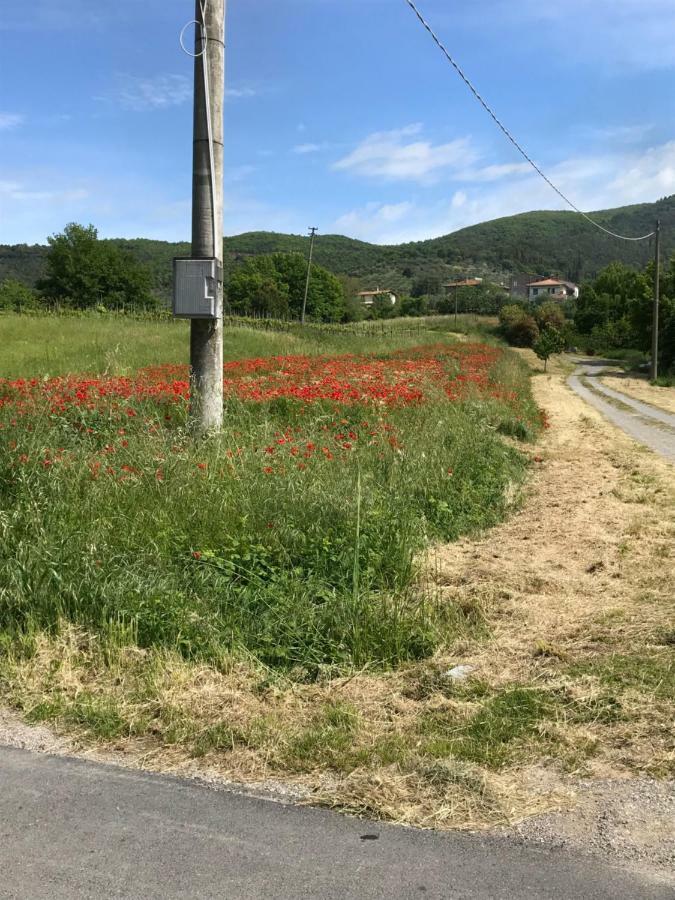 Villa Roccaccia Tuoro sul Trasimeno Dış mekan fotoğraf